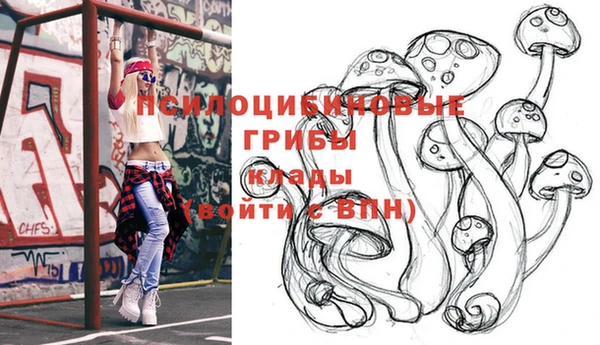 индика Лабытнанги