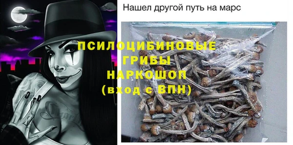 индика Лабытнанги