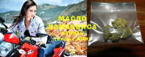 индика Лабытнанги