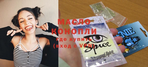 индика Лабытнанги