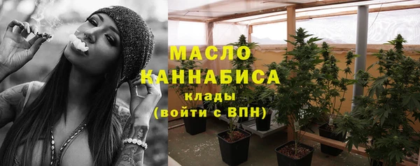 индика Лабытнанги