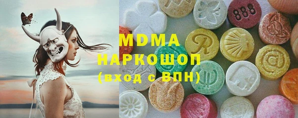 индика Лабытнанги