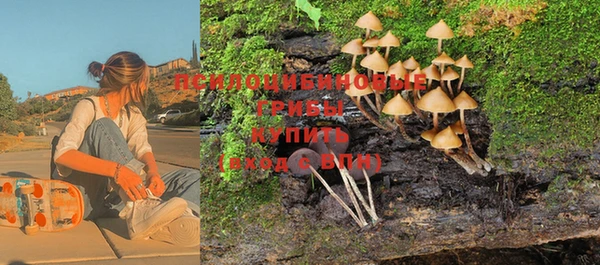 индика Лабытнанги