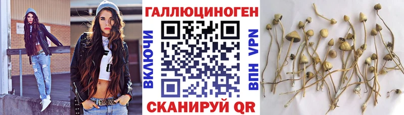 где купить наркотик  hydra ссылка  Галлюциногенные грибы прущие грибы  Невьянск 