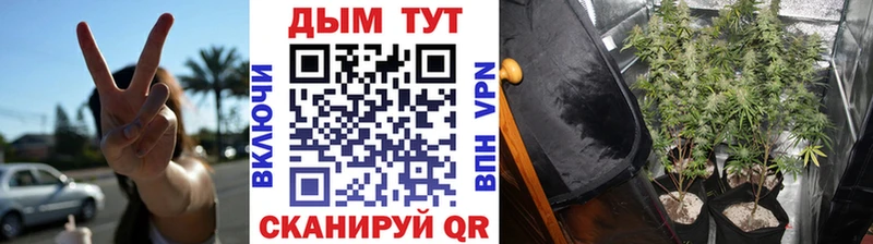 Конопля сатива  наркошоп  Невьянск 